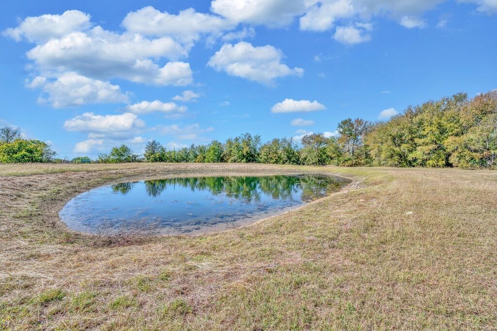 556 Wildwood Trail Property Photo 9
