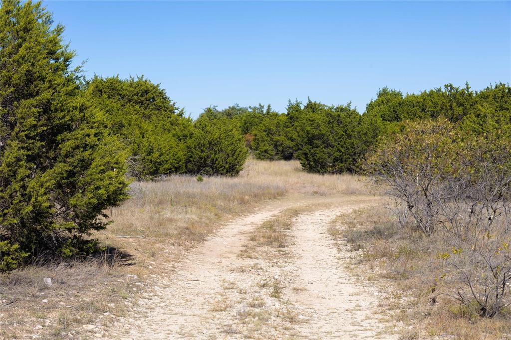 52 Acres Cr-407 Road Property Photo 17