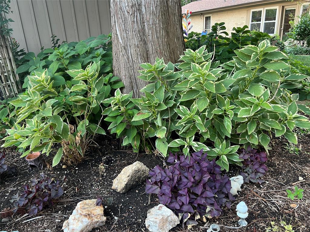 2626 Shoreline Drive Property Photo 17