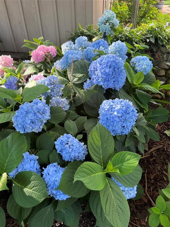 2626 Shoreline Drive Property Photo 18