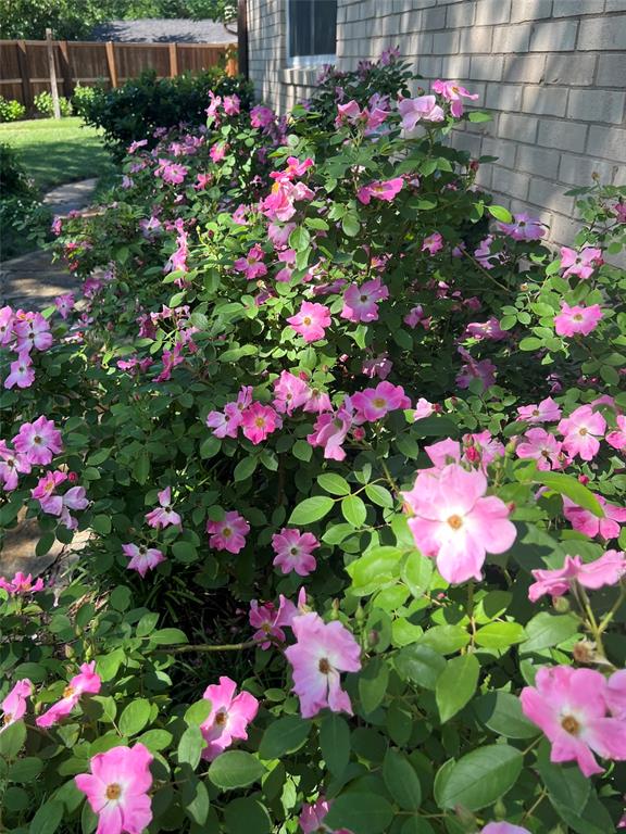 2626 Shoreline Drive Property Photo 19