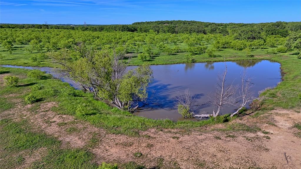 8791 State Hwy 59 Property Photo 22