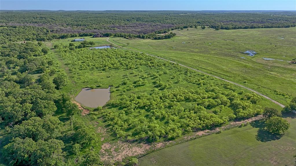 8791 State Hwy 59 Property Photo 27