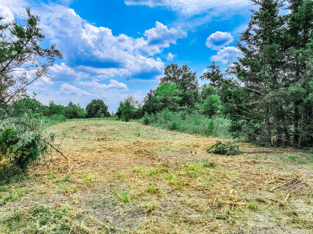 000 Fm 71 Highway Property Photo 9