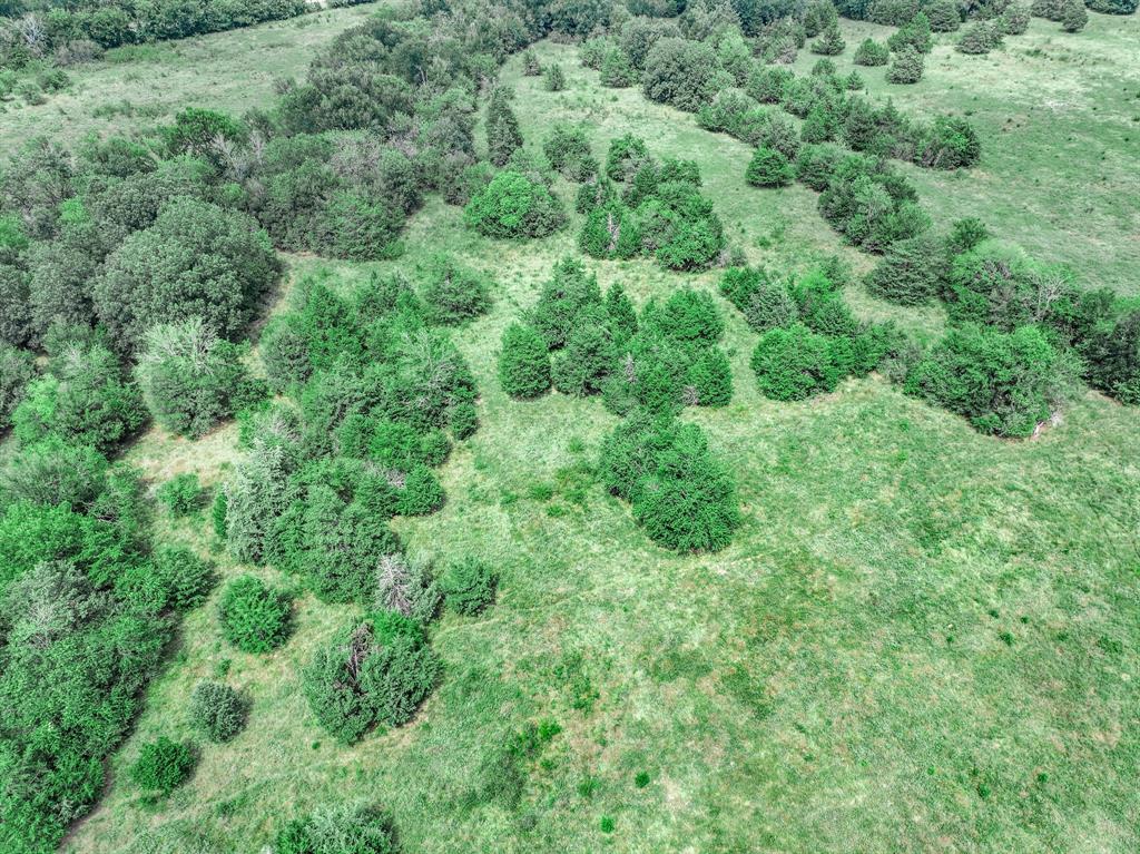 000 Fm 71 Highway Property Photo 11