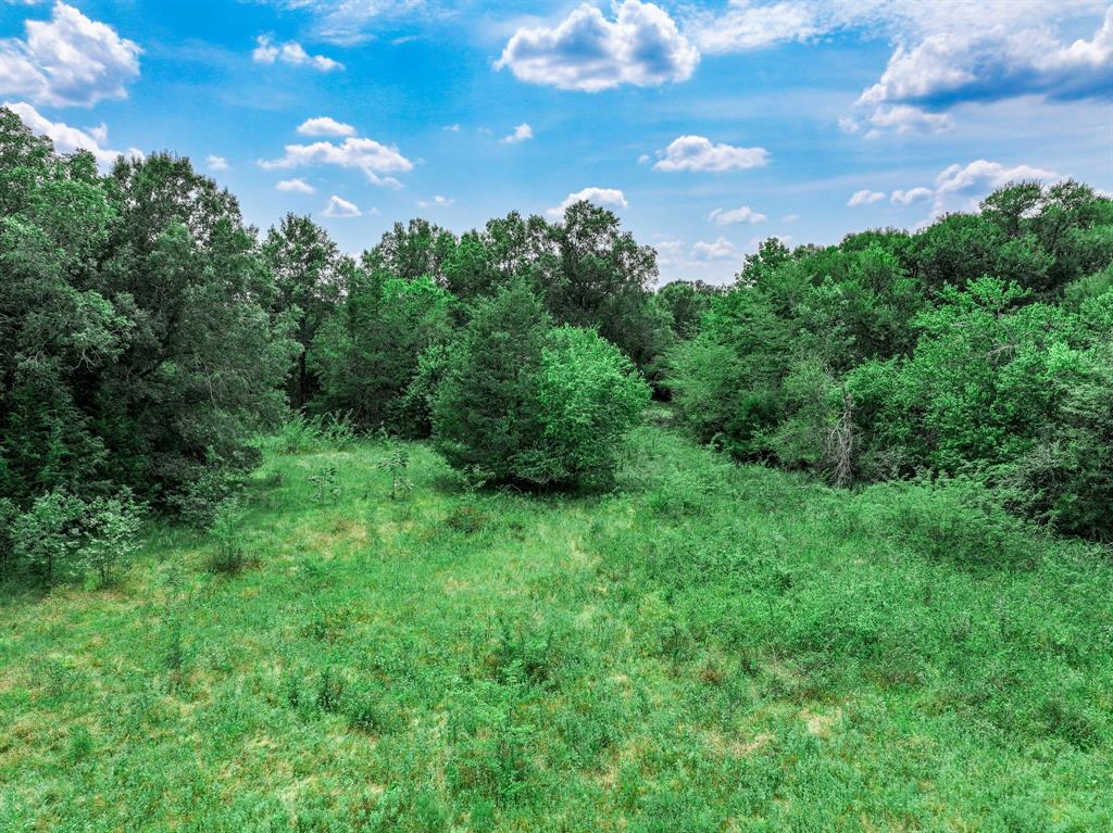 000 Fm 71 Highway Property Photo 19