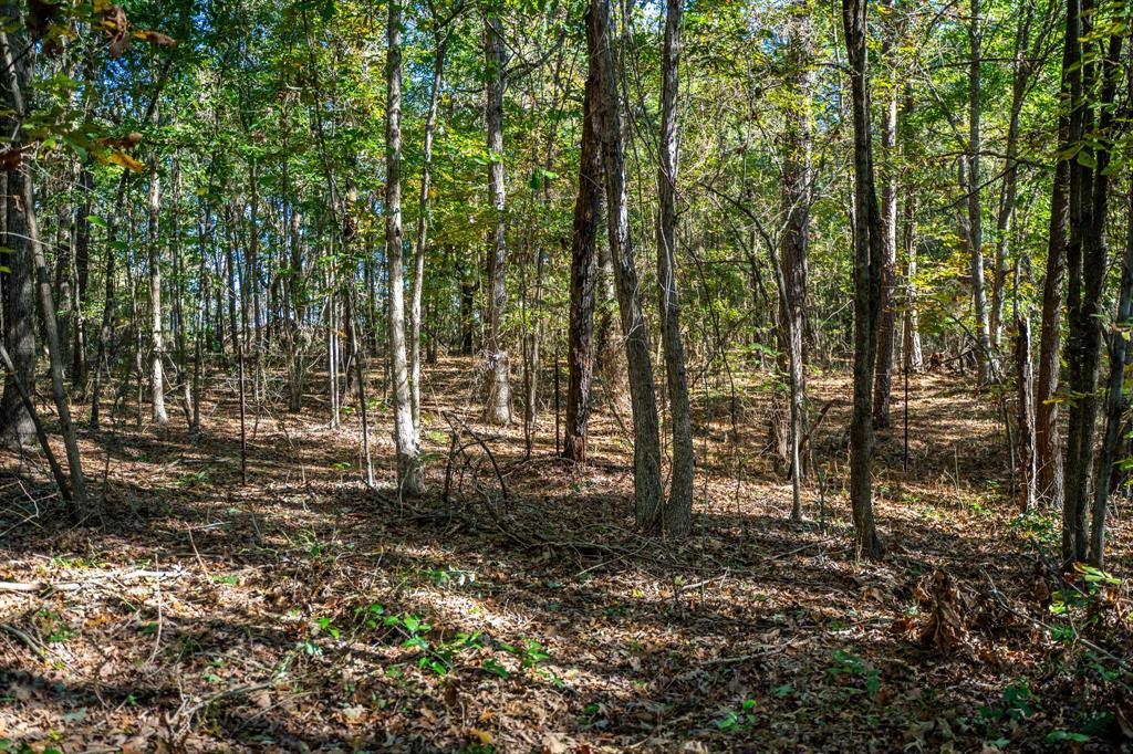 000 County Road 4105