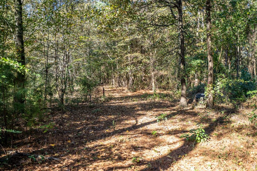 000 County Road 4105 Property Photo 8