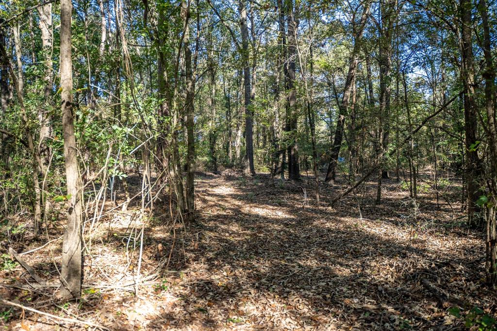 000 County Road 4105 Property Photo 9