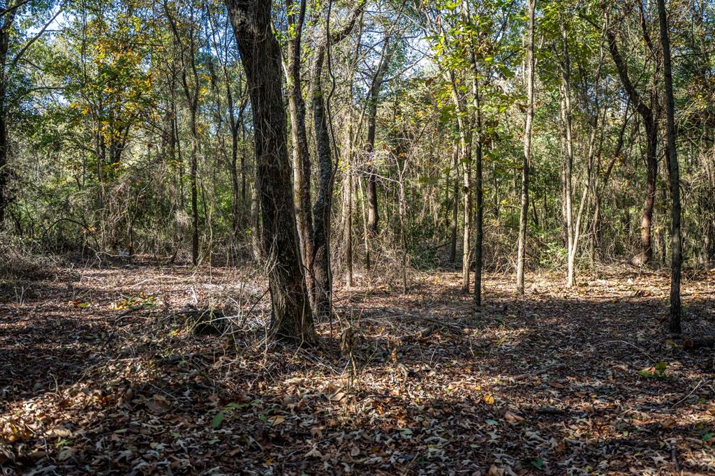 000 County Road 4105 Property Photo 10