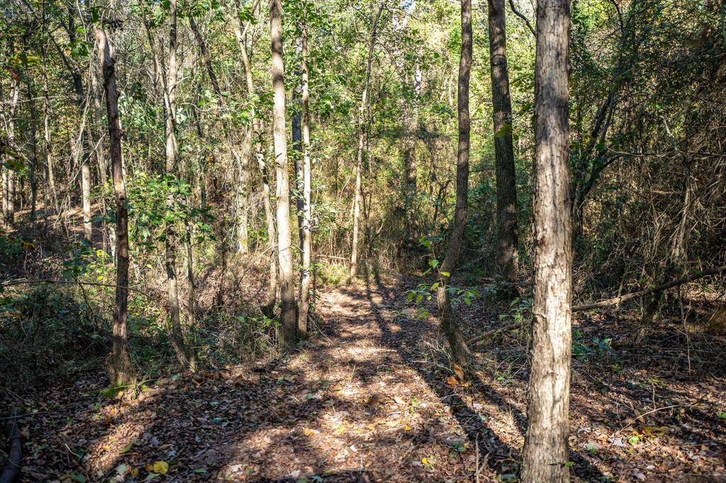 000 County Road 4105 Property Photo 11