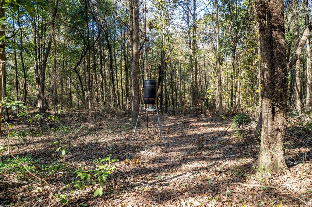 000 County Road 4105 Property Photo 12
