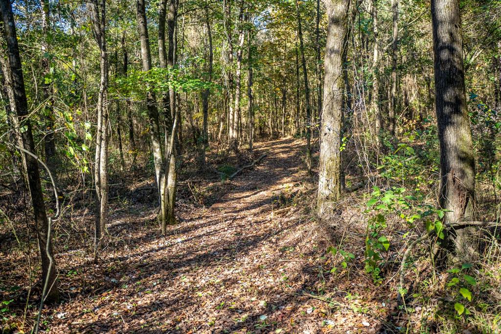 000 County Road 4105 Property Photo 14