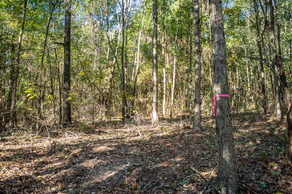 000 County Road 4105 Property Photo 15