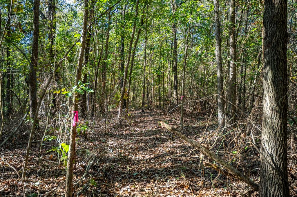 000 County Road 4105 Property Photo 16