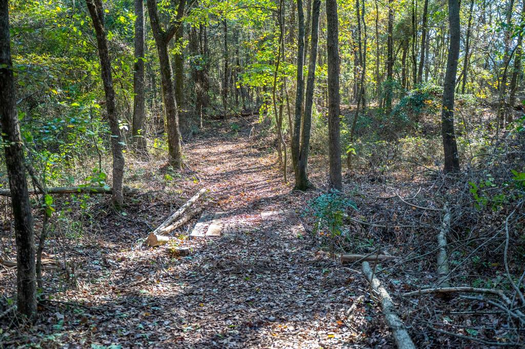 000 County Road 4105 Property Photo 18
