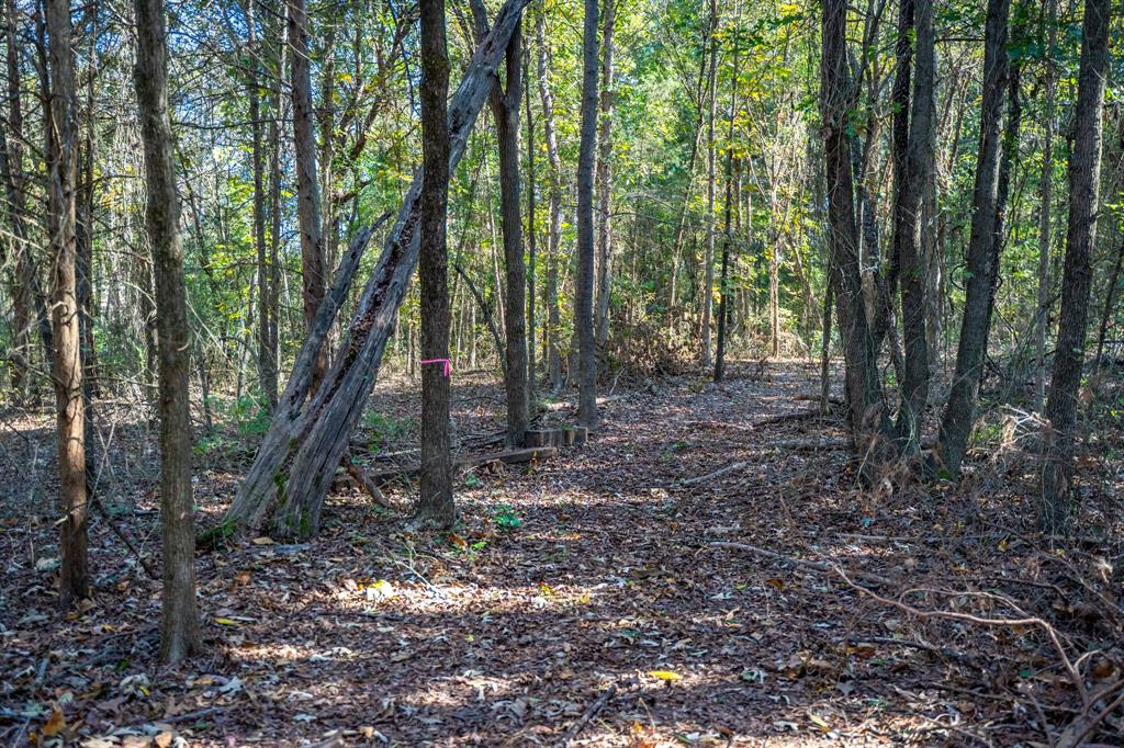 000 County Road 4105 Property Photo 19