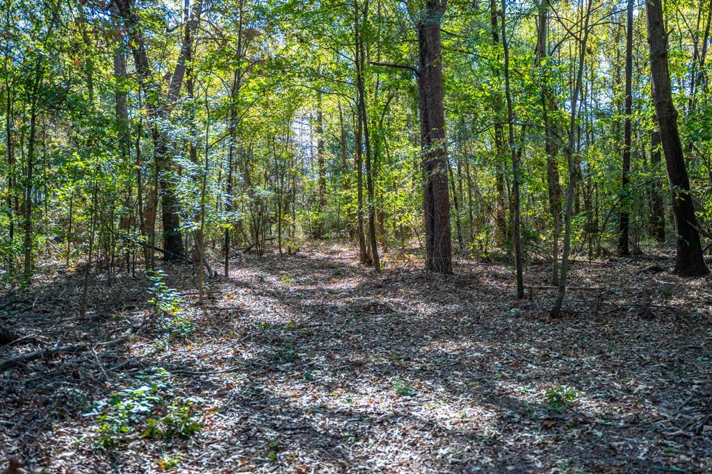 000 County Road 4105 Property Photo 20