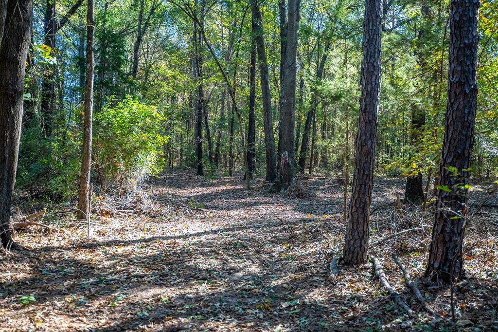 000 County Road 4105 Property Photo 23