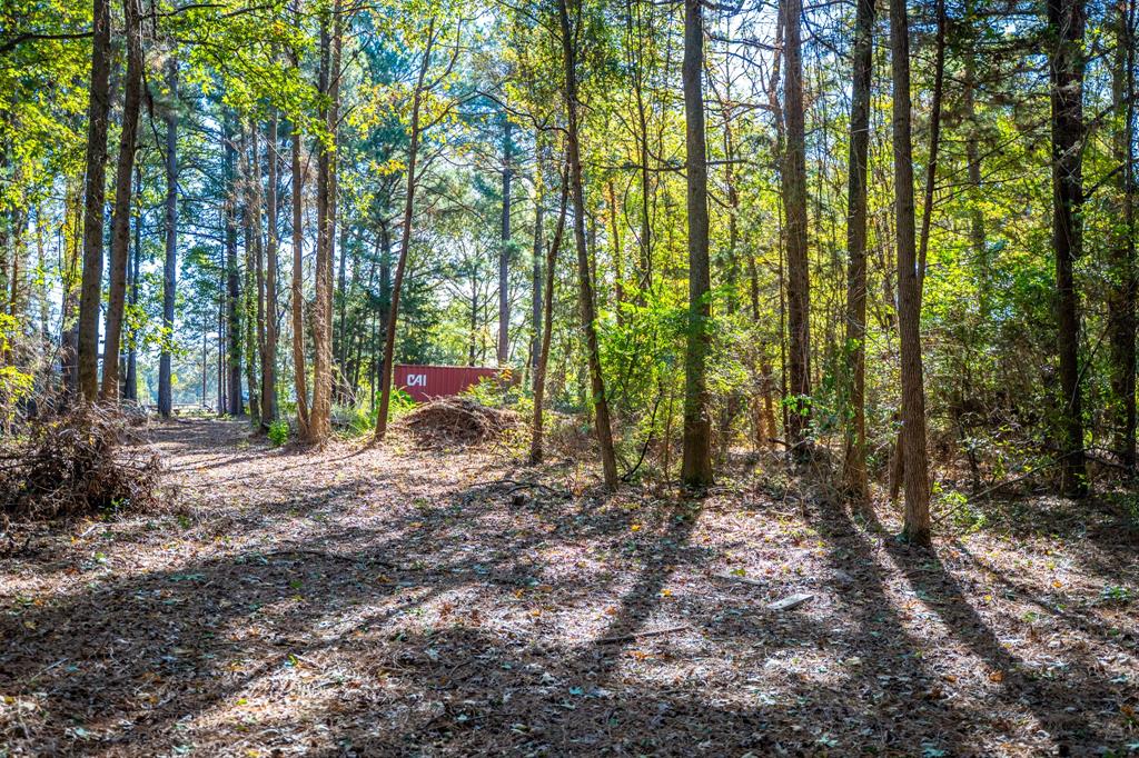 000 County Road 4105 Property Photo 25