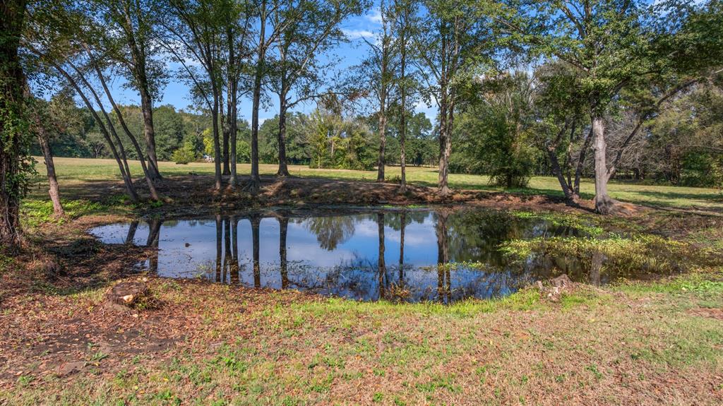 Tbd Fm Road 16 Property Photo 6