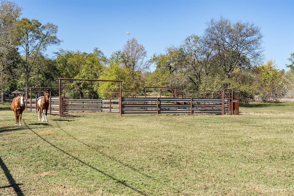 Tbd Fm Road 16 Property Photo 9