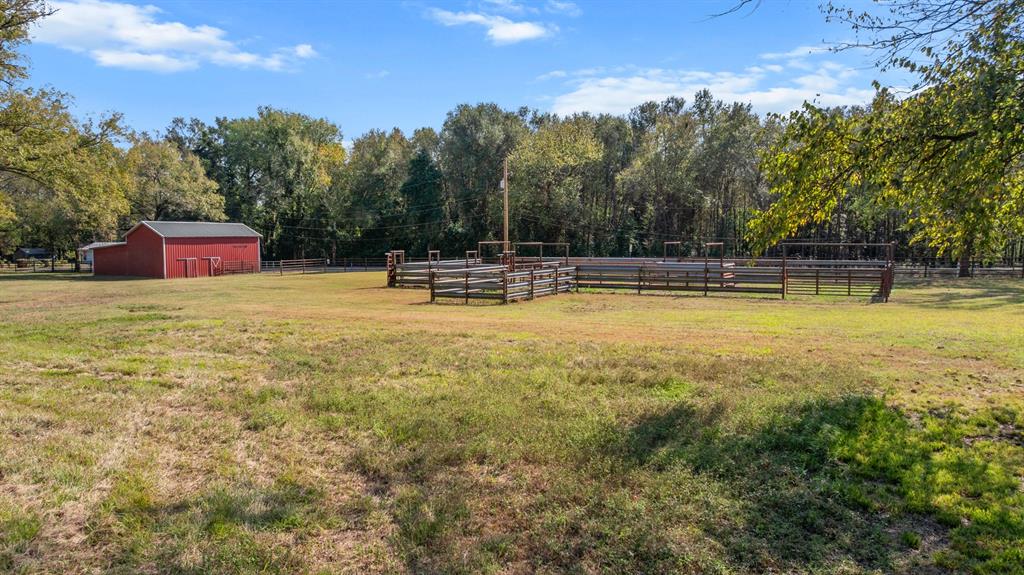 Tbd Fm Road 16 Property Photo 10