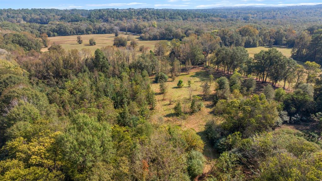 Tbd Fm Road 16 Property Photo 11