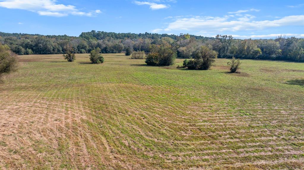 Tbd Fm Road 16 Property Photo 13