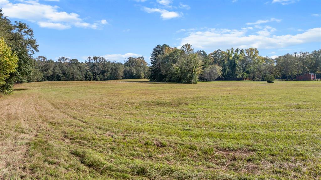 Tbd Fm Road 16 Property Photo 15