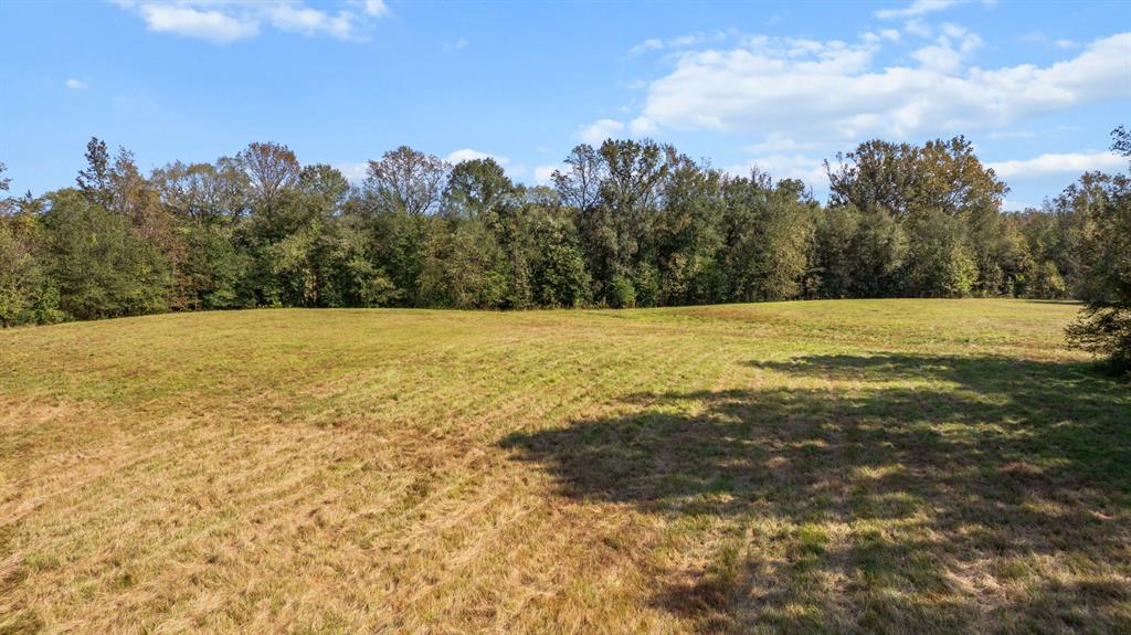 Tbd Fm Road 16 Property Photo 16