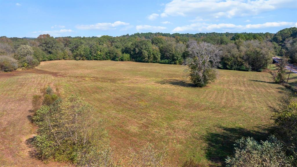 Tbd Fm Road 16 Property Photo 17