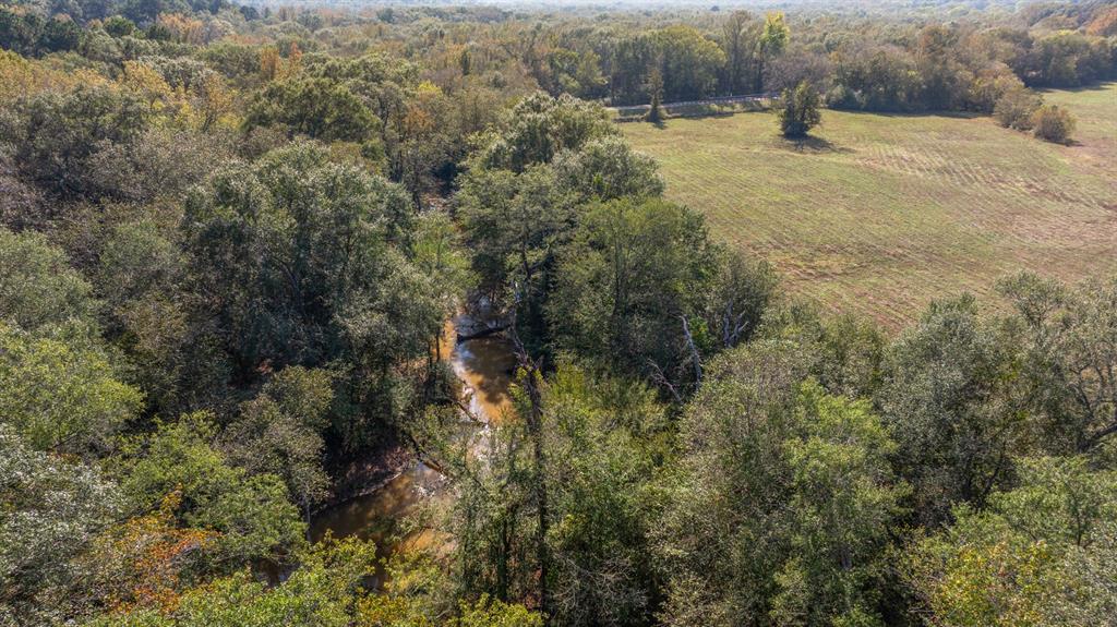 Tbd Fm Road 16 Property Photo 20