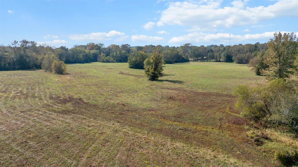 Tbd Fm Road 16 Property Photo 21