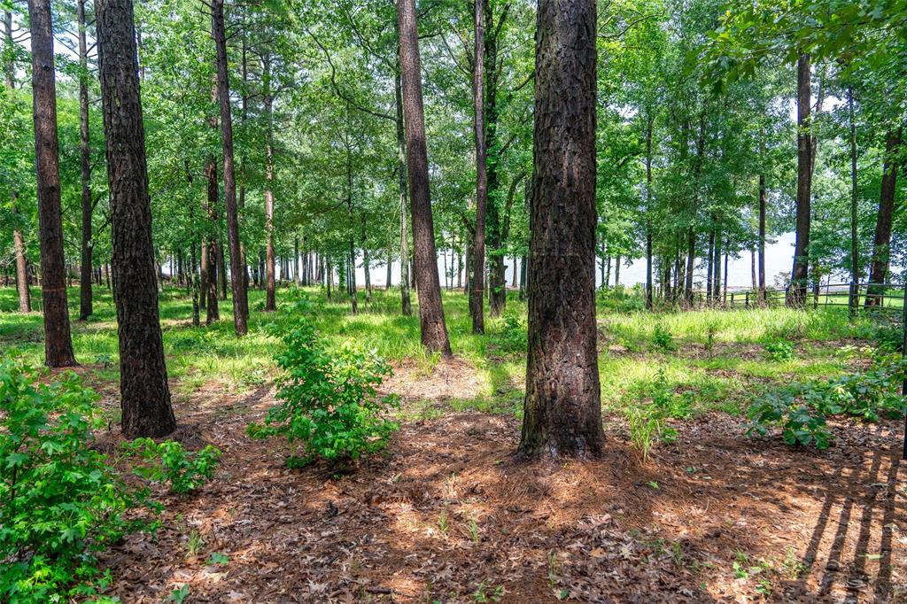 Lot 1 Ezelle Way Property Photo 27