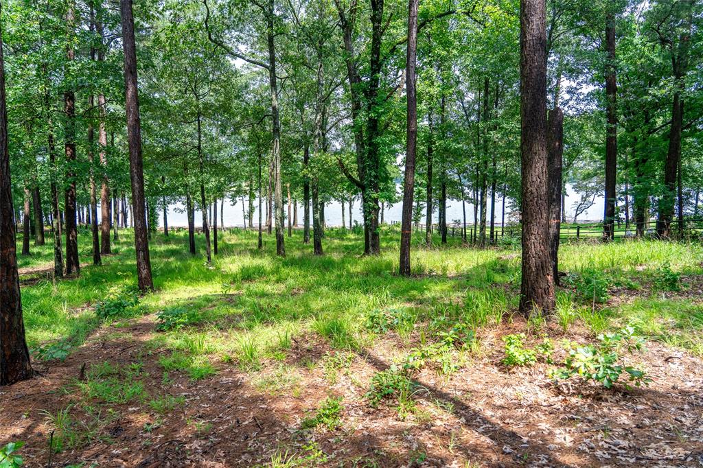 Lot 1 Ezelle Way Property Photo 28