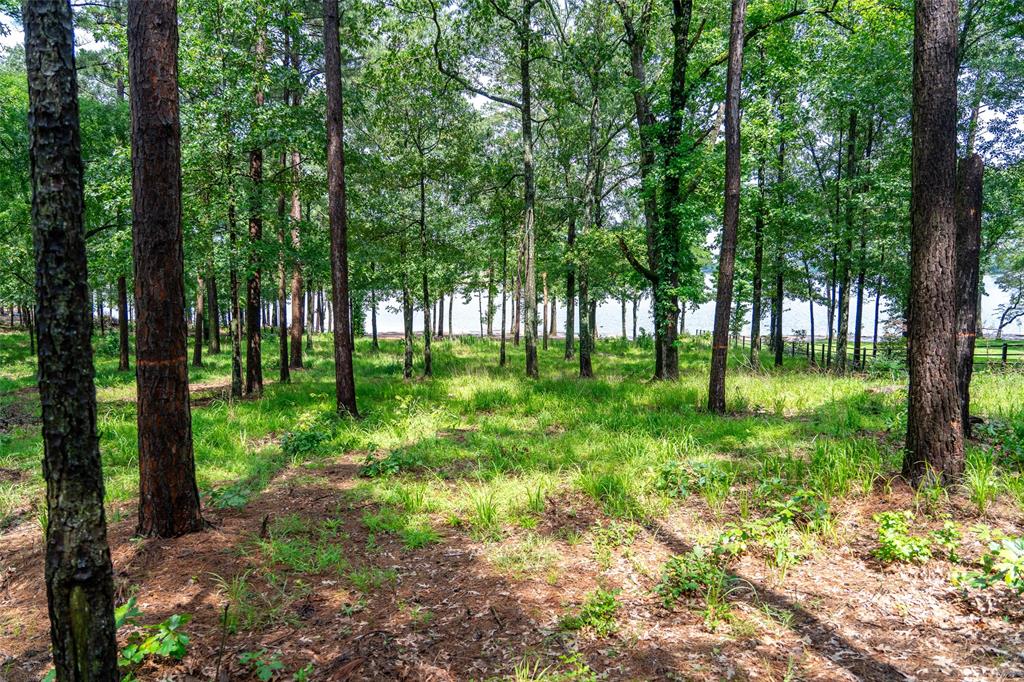 Lot 1 Ezelle Way Property Photo 29