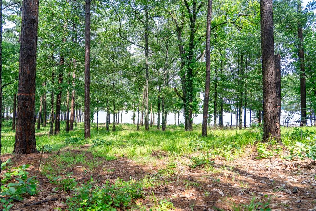 Lot 1 Ezelle Way Property Photo 31