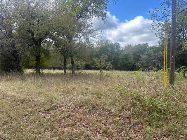 1545 White Bluff Drive Property Photo 3