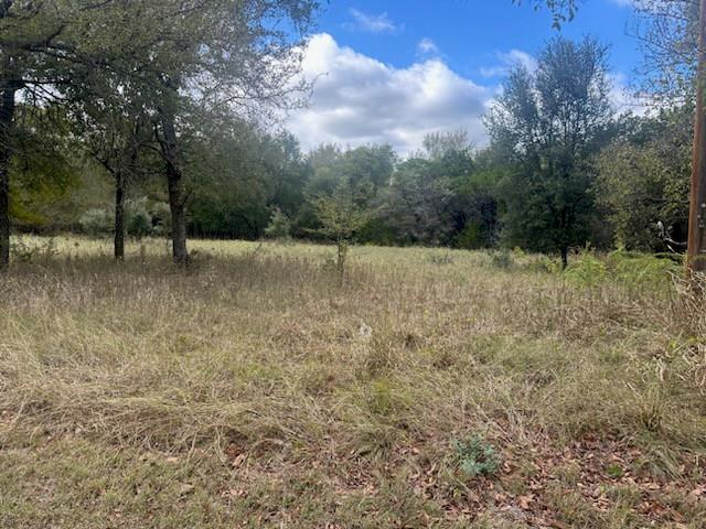 1545 White Bluff Drive Property Photo 4