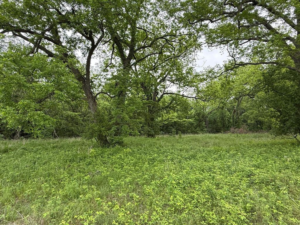20 Acres Gathings Avenue Property Photo 19