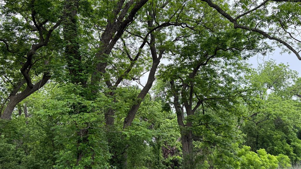 20 Acres Gathings Avenue Property Photo 25