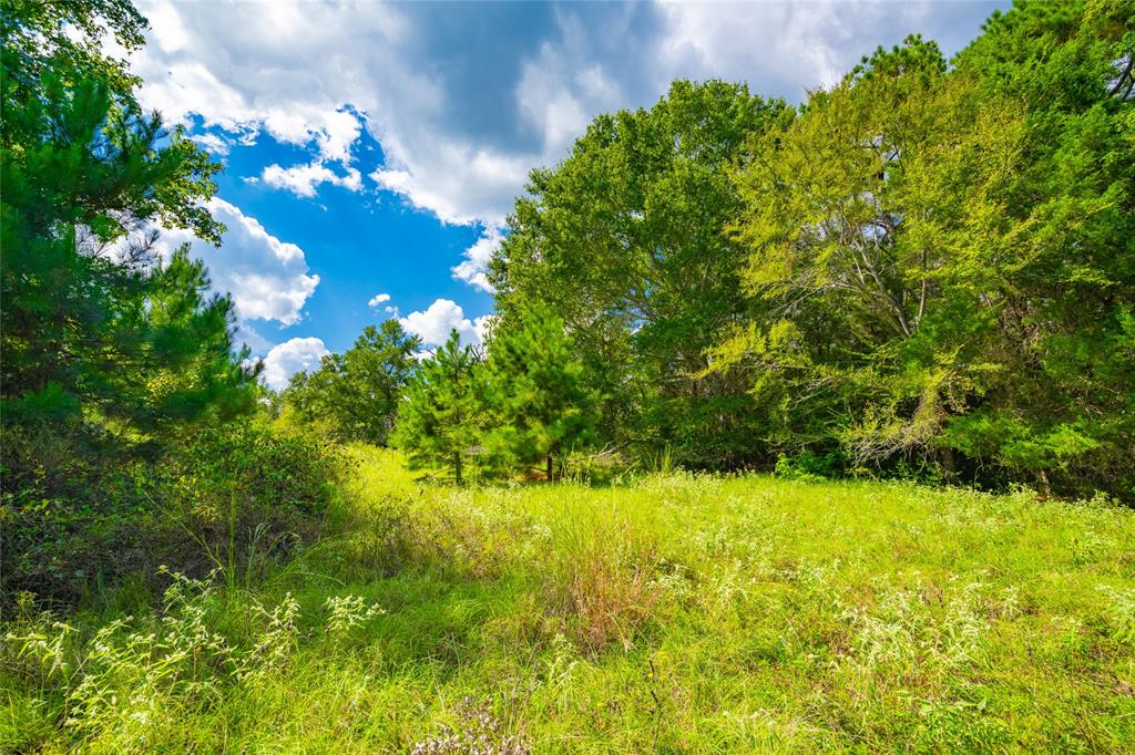14799 Fm 315 Property Photo 2