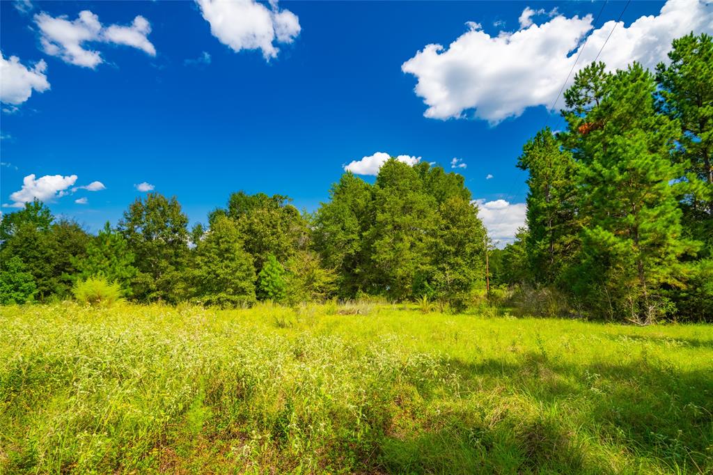 14799 Fm 315 Property Photo 3