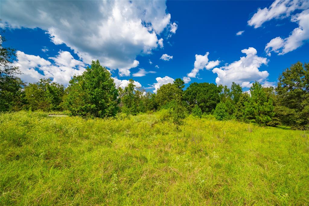 14799 Fm 315 Property Photo 4