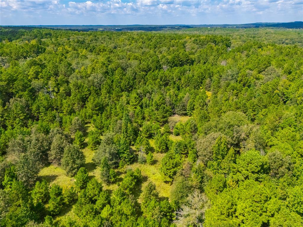 14799 Fm 315 Property Photo 6