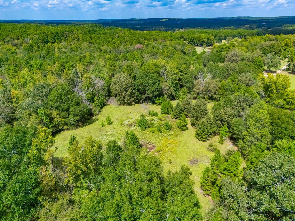 14799 Fm 315 Property Photo 10