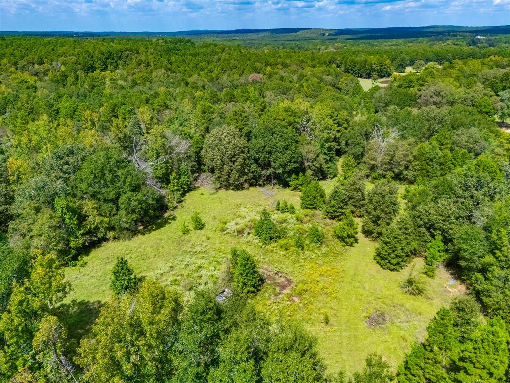 14799 Fm 315 Property Photo 16
