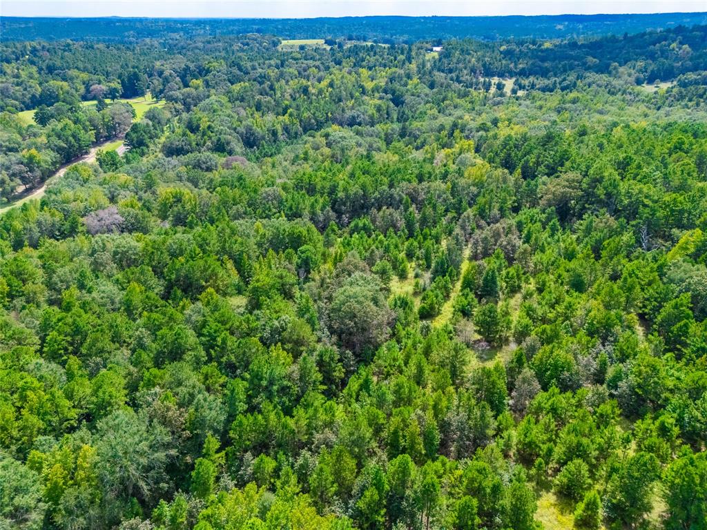 14799 Fm 315 Property Photo 17