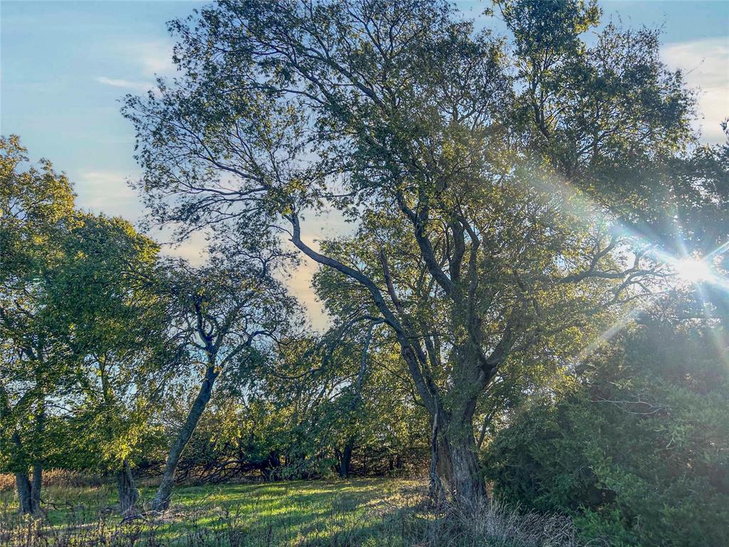 112 Hill Ranch Road Property Photo 12